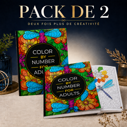Pack 2 livrets de coloriage avec numéro
